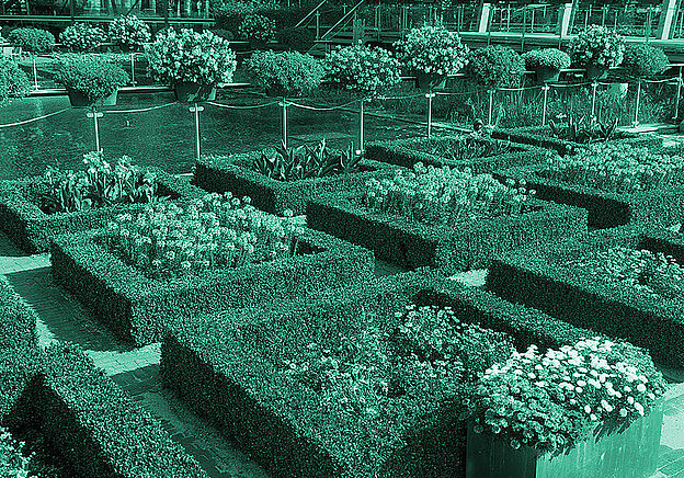 flower garden